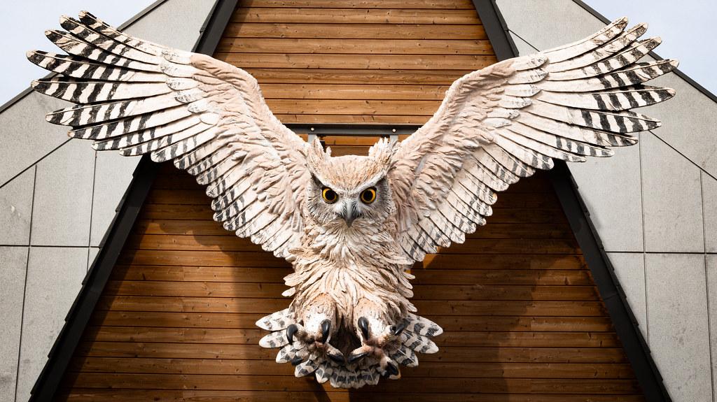 Další bilaterální spolupráce - nabídky stipendijních pobytů