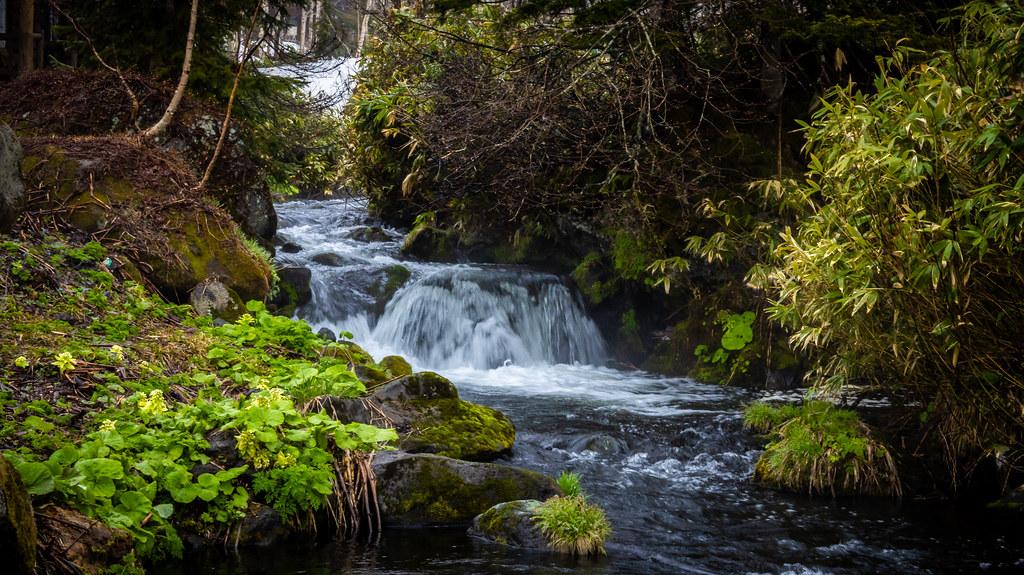 mountain-stream-at-daisetsuzan-national-park_53280849542_l