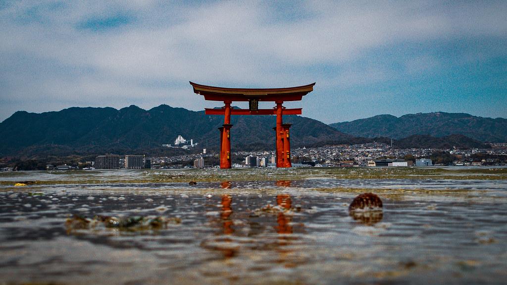 itsukushima-jinja-otorii-iii_52904207330_l